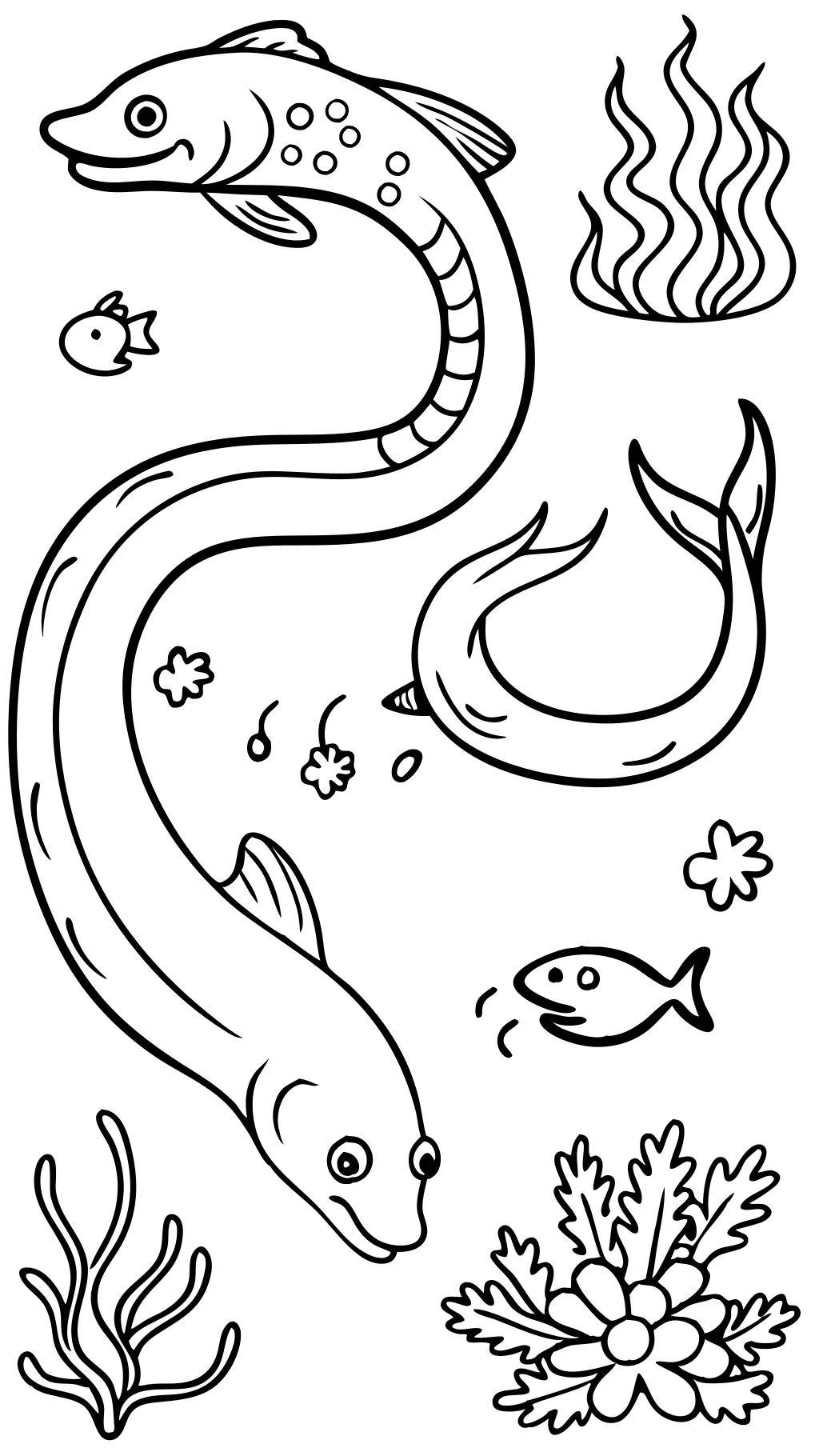 coloring pages of eels